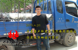 https://www.tianchenggeye.com/kehujianzheng/2015/0430/284.html