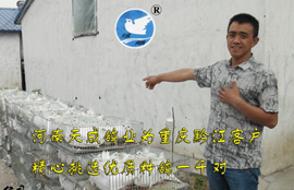 https://www.tianchenggeye.com/kehujianzheng/2015/0630/290.html