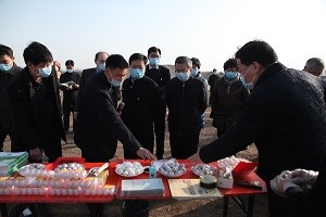 平顶山市委书记周斌带队莅临天成肉鸽科技产业园观摩指导