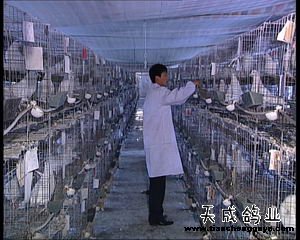 致富经_致富网_致富好项目
