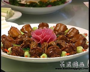 致富经_致富网_致富好项目