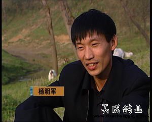致富网_致富经_致富好项目
