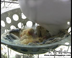 致富网_致富经_致富好项目