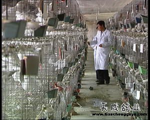 致富好项目_致富网_致富经