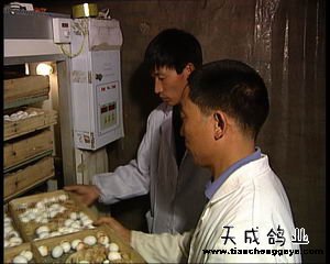 致富好项目_致富网_致富经