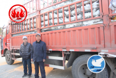 肉鸽养殖助力产业扶贫——2880只天成种鸽落户河北阜平县
