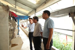 河南省科协副主席房卫平莅临河南天成鸽业考察调研。
