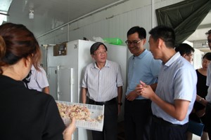 河南省科协副主席房卫平莅临河南天成鸽业考察调研。