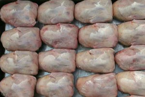 肉鸽产品初加工的前期都要准备啥？