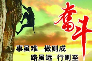 养鸽日记饲养管理之——心态的树立