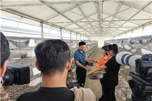 河南天成鸽业应邀接受CCTV-17农业农村频道田间示范秀栏目采访