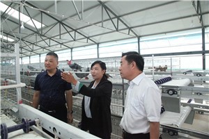 宝丰县委统战部常务副部长李文志带队观摩团莅临河南天成鸽业科技产业园 