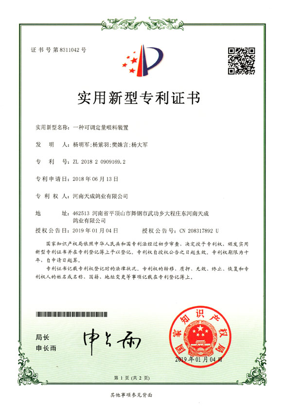 一种可调定量喂料装置