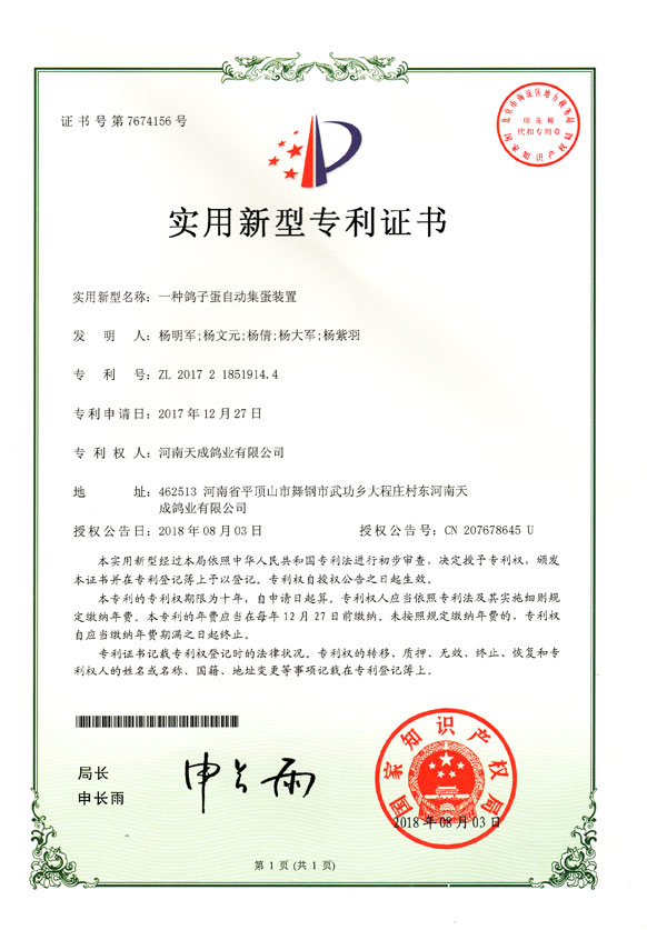 一种鸽子蛋自动集蛋装置