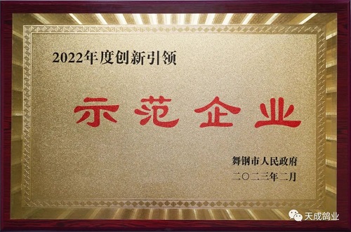 天成鸽业荣获“2022年度创新引领示范企业 ”荣誉称号