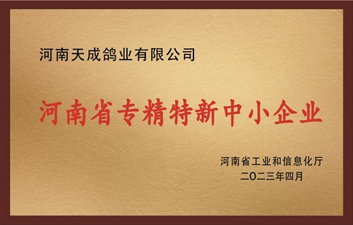 河南省专精特新中小企业
